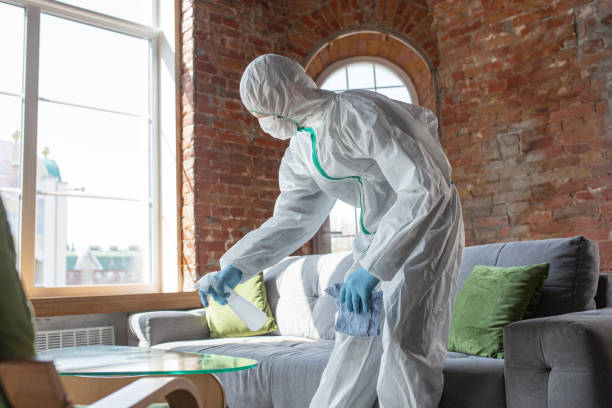 Best Forensic Mold Investigation  in Manhasset, NY