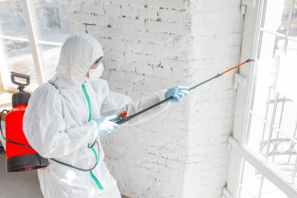 Best Mold Prevention Services  in Manhasset, NY